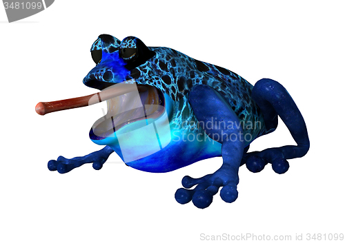 Image of Blue Frog