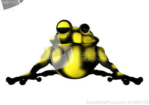 Image of Yellow Frog