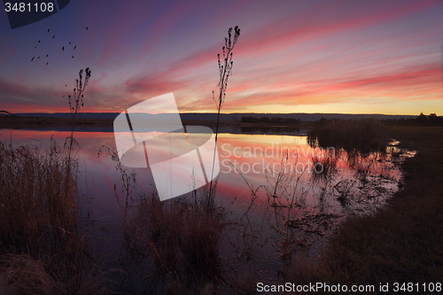 Image of Sunset over Duralia Lake Penrith and reflections