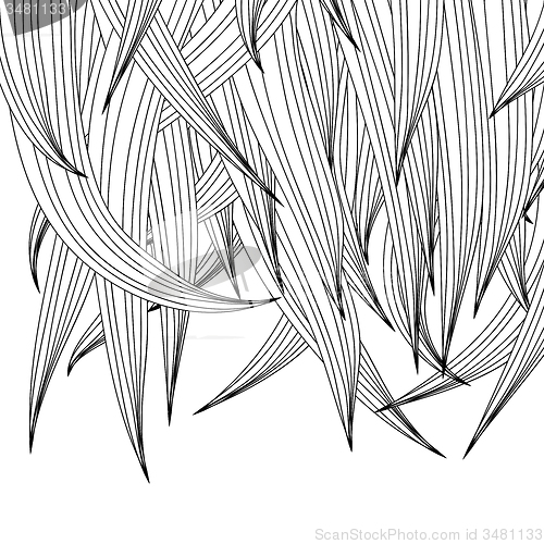Image of Hair Background