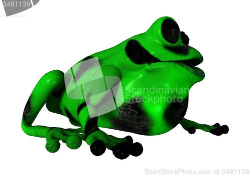 Image of Green Frog
