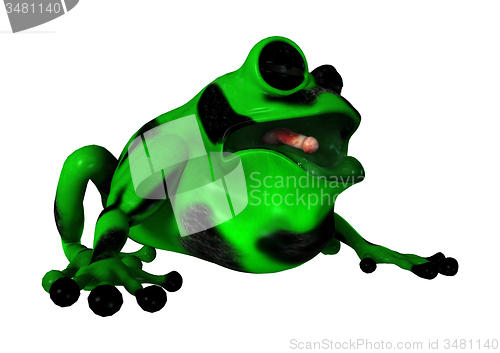 Image of Green Frog