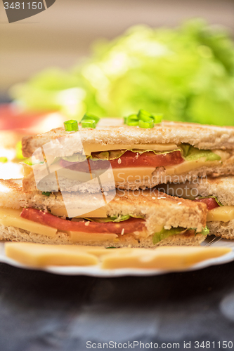 Image of Cheese sandwich