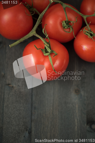 Image of Fresh tomatoes 