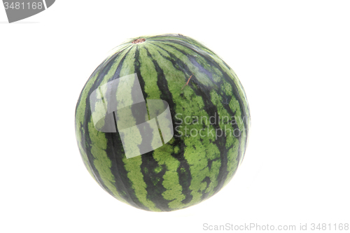 Image of green melon isolated