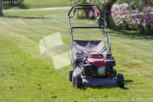 Image of Modern gasoline lawn mower