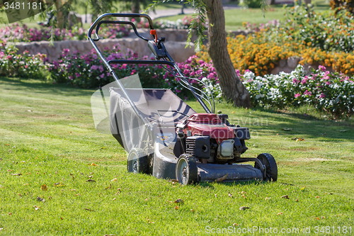 Image of Modern gasoline lawn mower