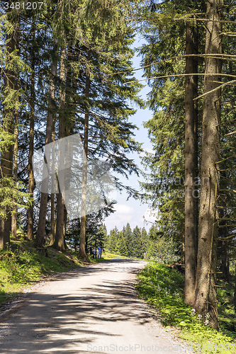 Image of walking path Blomberg