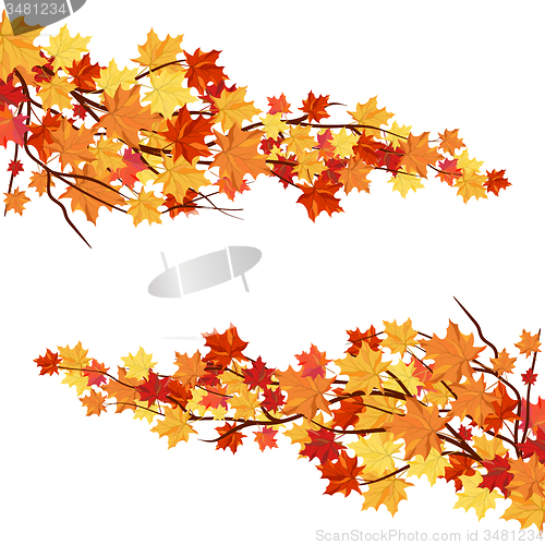 Image of Autumn  Frame