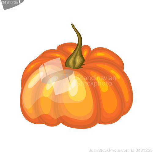 Image of Glossy Orange Pumpkin