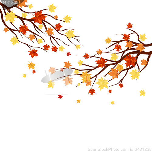 Image of Autumn  Frame