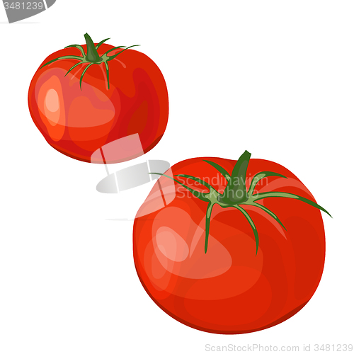 Image of Set of Two Glossy Red Tomatoes