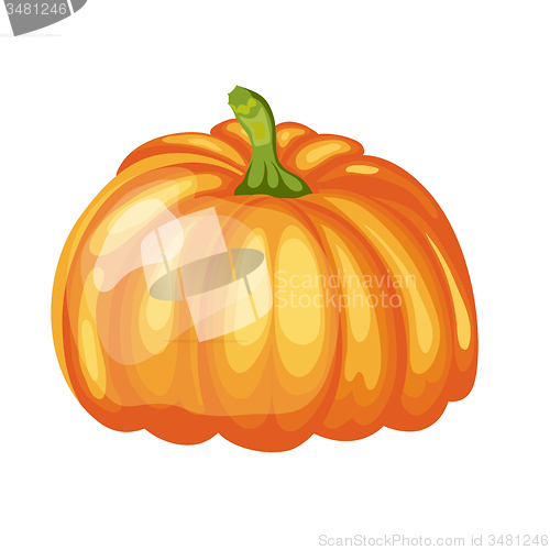 Image of Glossy Orange Pumpkin