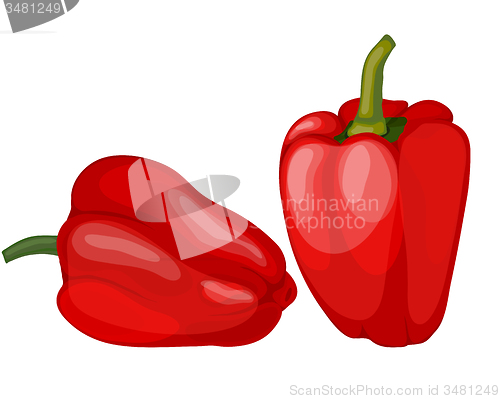 Image of Set of Two Glossy Red Peppers