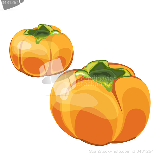 Image of Set of Two Glossy Orange Permisson