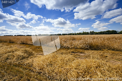 Image of agriculture  