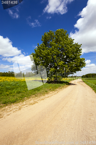 Image of rural road  