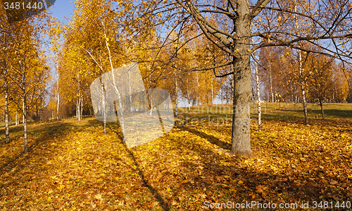 Image of autumn park  