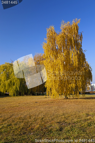 Image of autumn park  