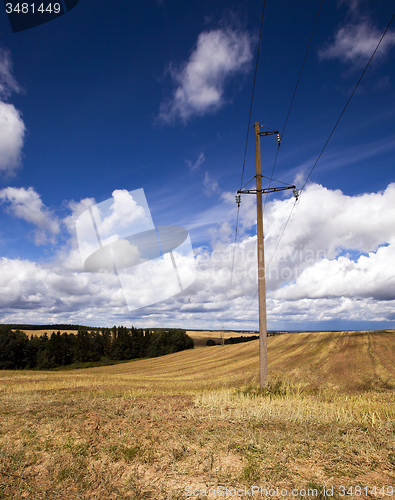 Image of column in the field  