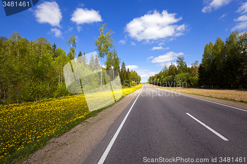 Image of  road in the spring  