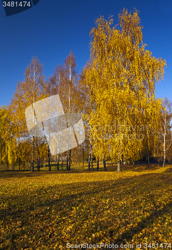 Image of autumn park  