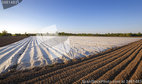 Image of agriculture 