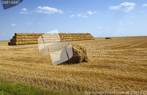 Image of straw stack  