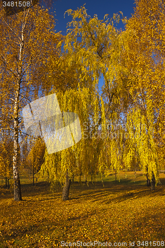 Image of autumn park  