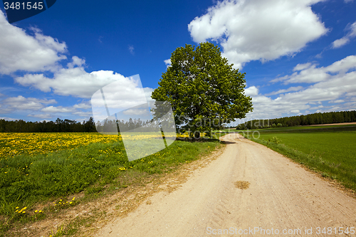 Image of the rural road  