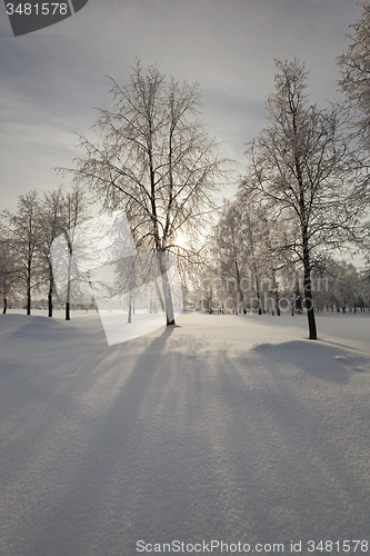 Image of winter  