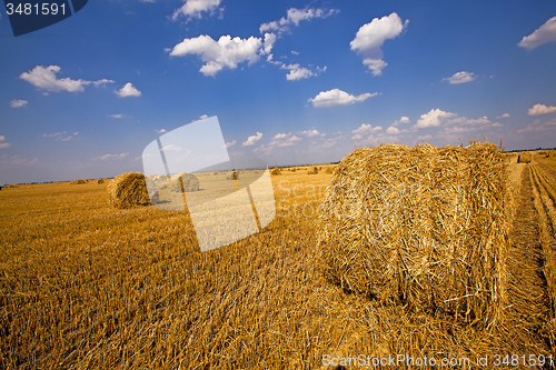 Image of agriculture  