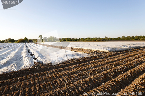 Image of greenhouses in the field 