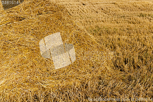 Image of field with straw  