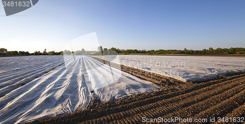 Image of agriculture. greenhouses