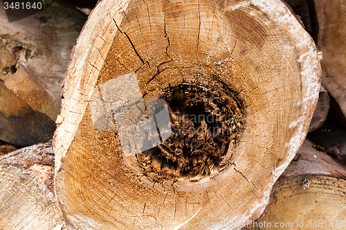 Image of lot of firewood  