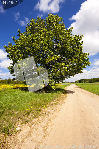 Image of the rural road  