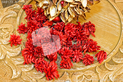 Image of Seed detail