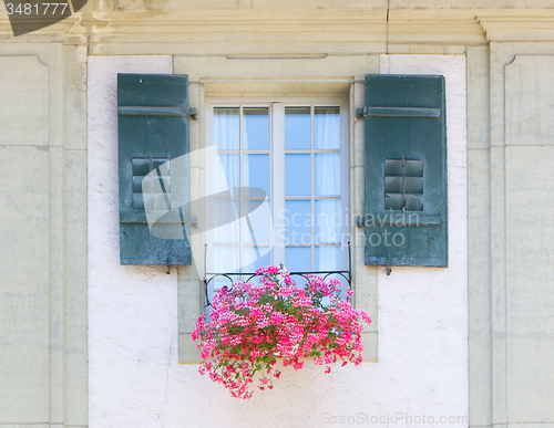 Image of Old window and flowers at a historic building