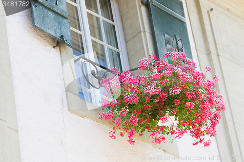 Image of Old window and flowers at a historic building