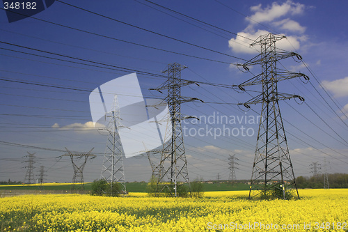 Image of Electric pylons and farmland