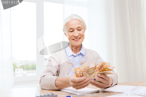 Image of senior woman with money and papers at home