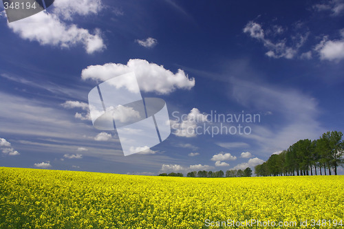 Image of Colorful spring landscape