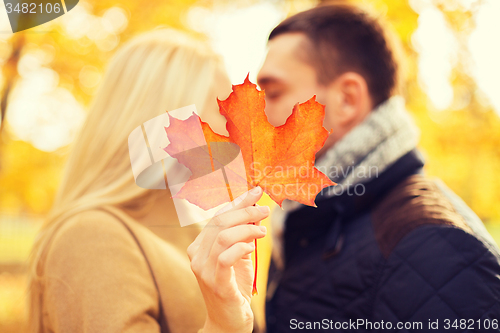 Image of close up of couple kissing in autumn park