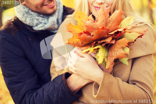 Image of close up of smiling couple hugging in autumn park