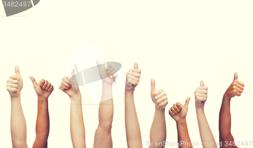 Image of human hands showing thumbs up