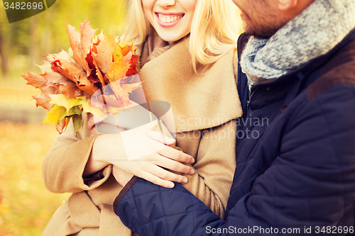 Image of close up of smiling couple hugging in autumn park