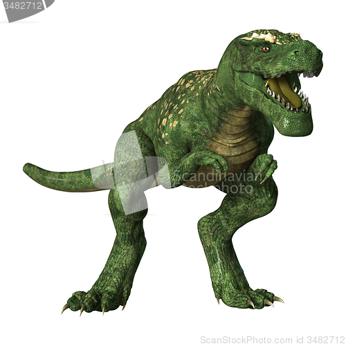 Image of Tyrannosaurus Rex 