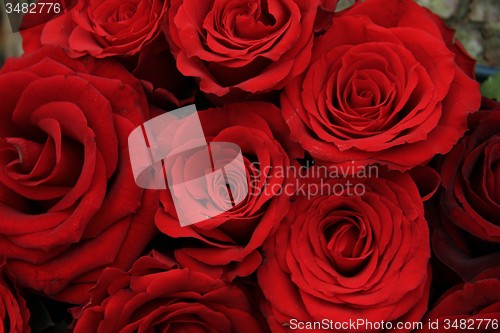 Image of Red roses in a bridal bouquet