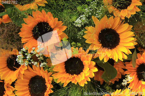 Image of Sunflowers